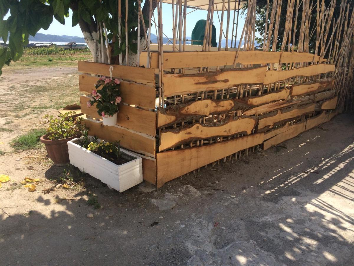 Petrakis Beach Λευκίμμη Εξωτερικό φωτογραφία
