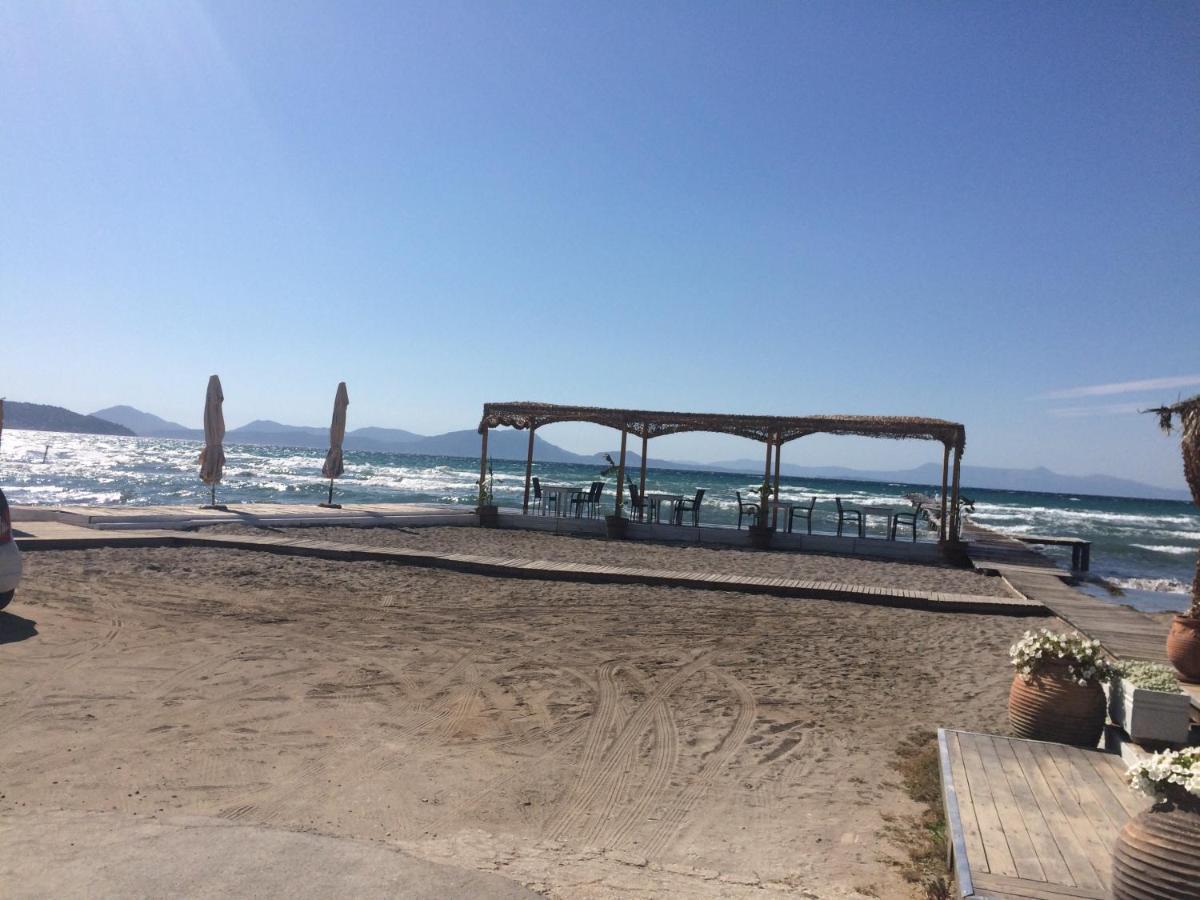 Petrakis Beach Λευκίμμη Εξωτερικό φωτογραφία