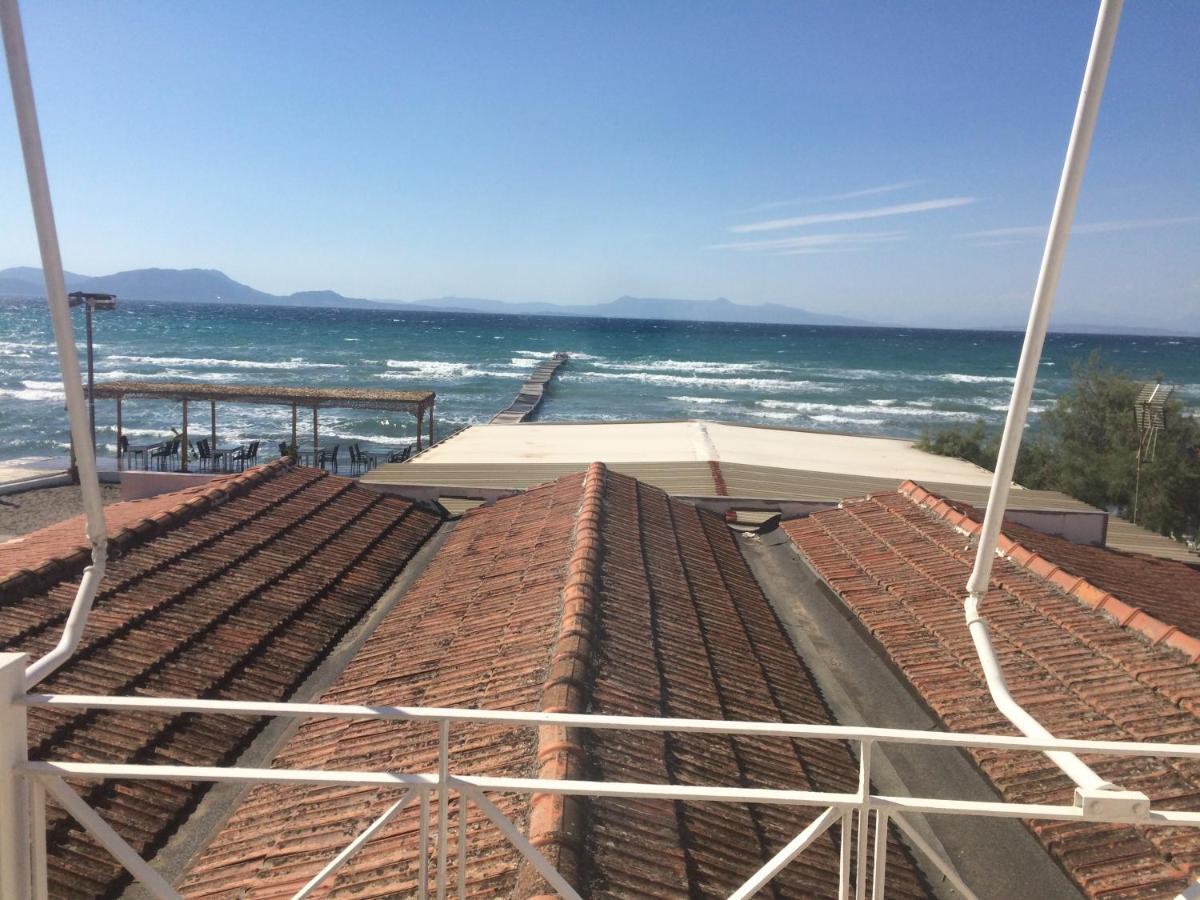 Petrakis Beach Λευκίμμη Εξωτερικό φωτογραφία