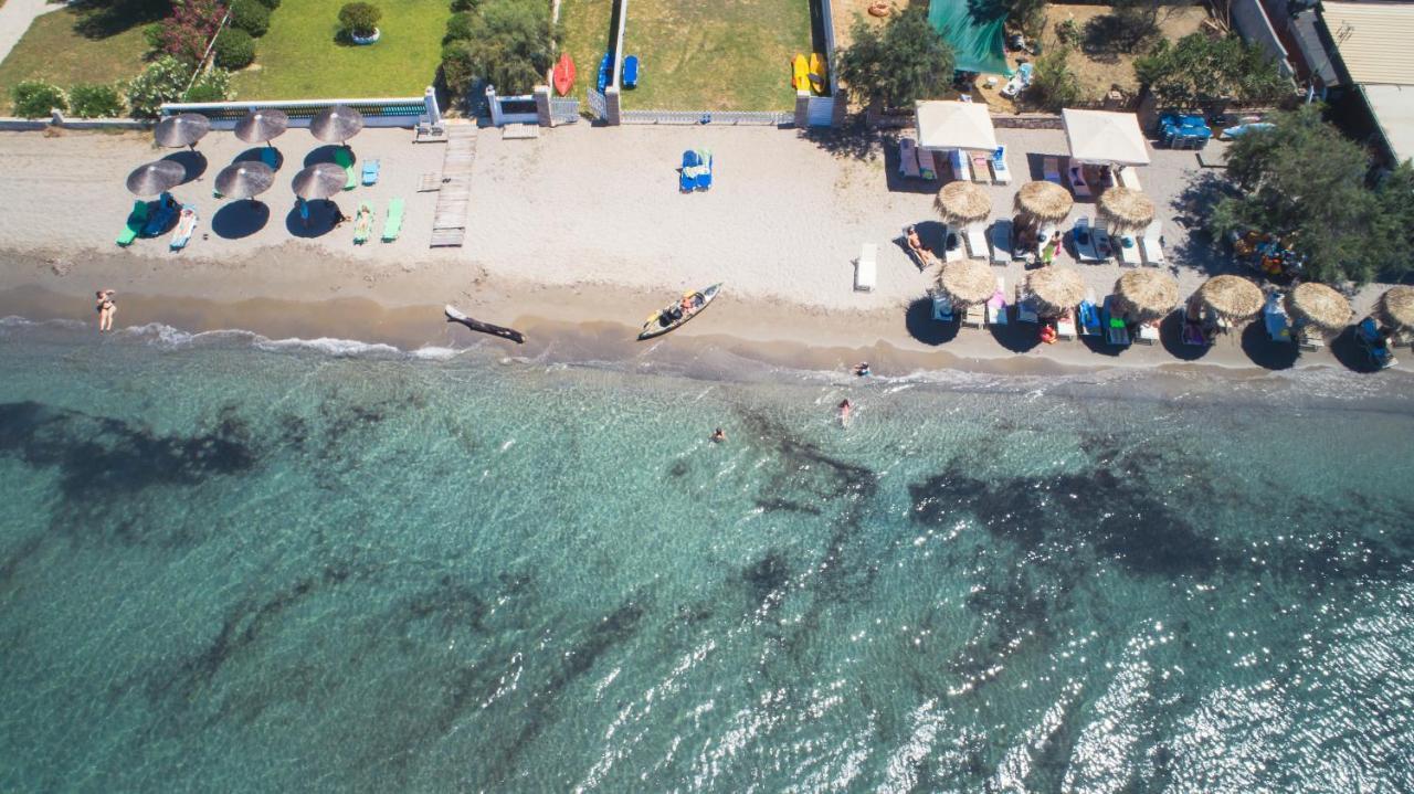 Petrakis Beach Λευκίμμη Εξωτερικό φωτογραφία